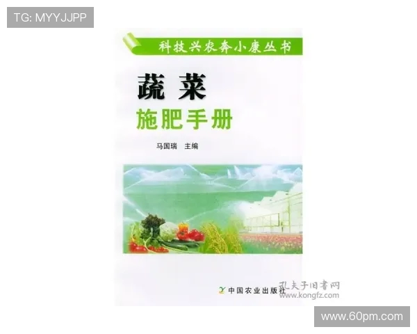 科学CSGO耐力训练方法提升游戏表现的全面指南